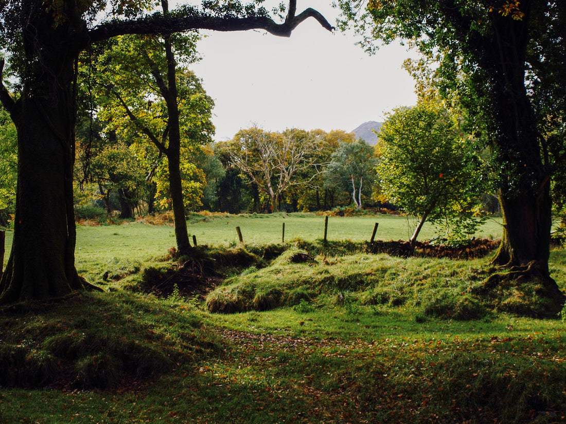 Easing into Autumn's embrace