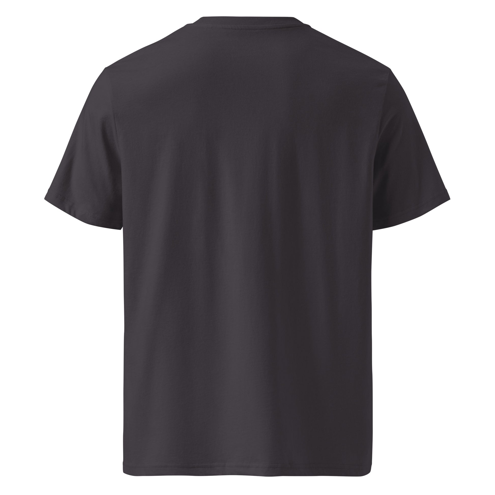 Back view of Organic cotton t shirt featuring minimalist line art dolphin inspired by the Celtic Sea off West Cork. color: anthracite