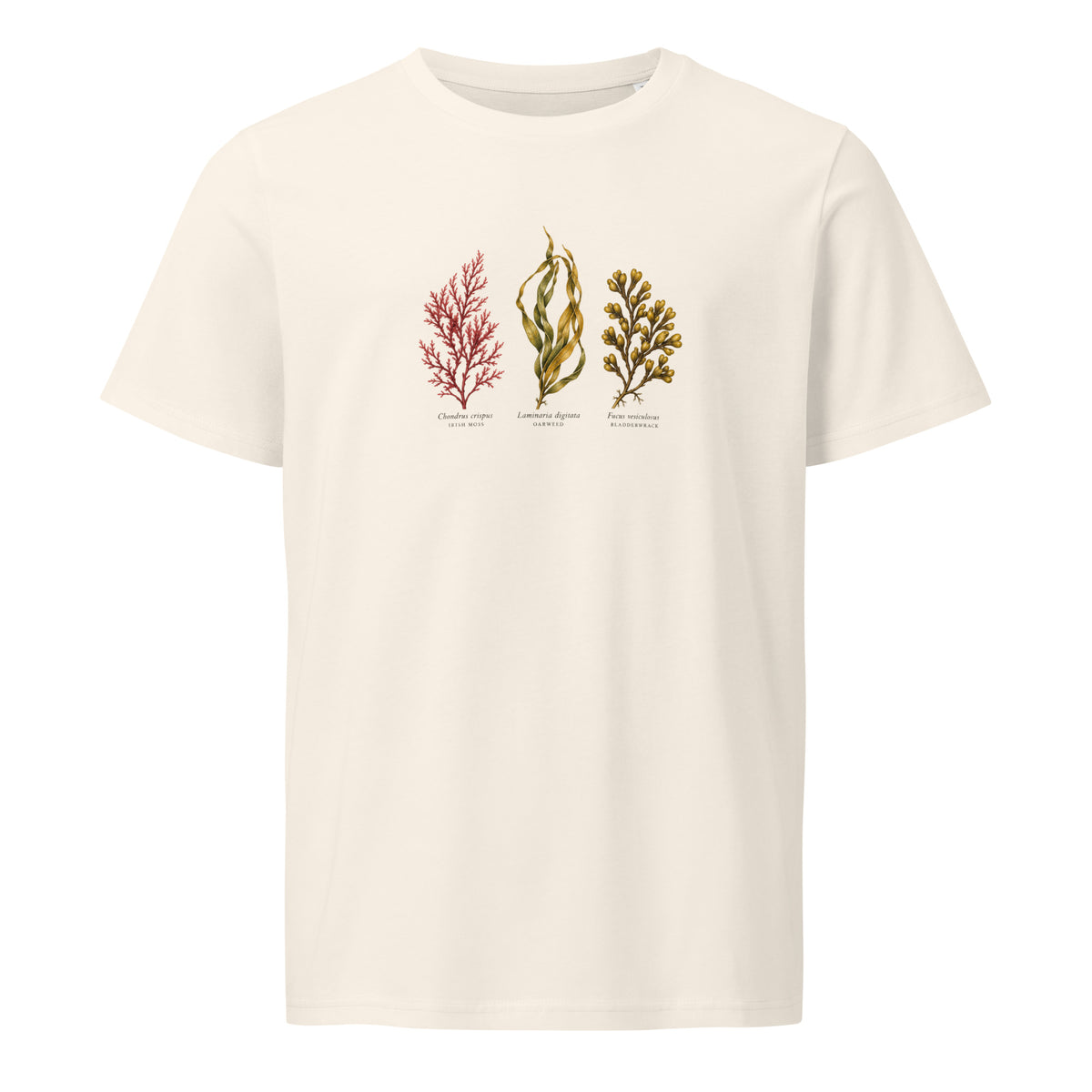 Front view of Atlantic Seaweed organic cotton T-shirt with Irish Moss, Oarweed and Bladderwrack botanical design by Gaia's Harmony. 