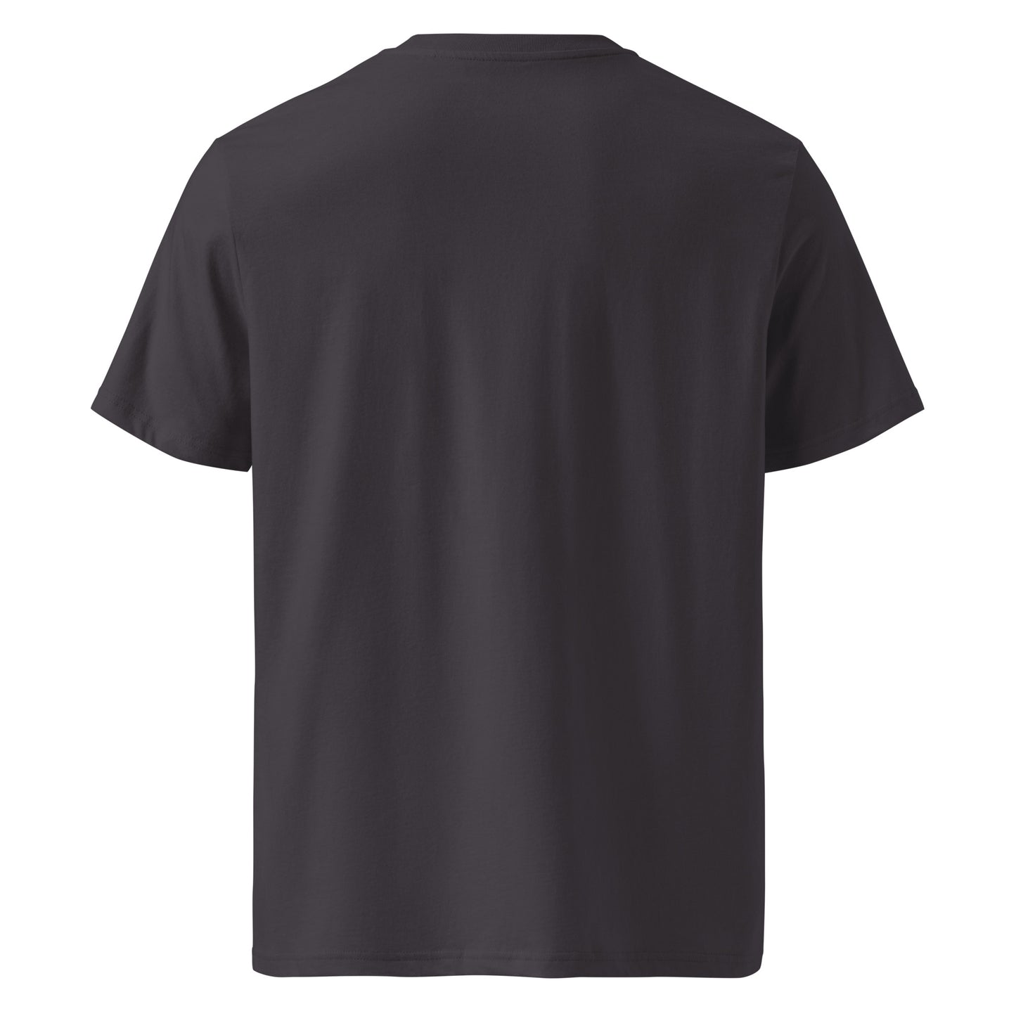Back view of Organic cotton whale graphic t shirt featuring a minimalist ocean illustration with rising whale and beige horizon sky. color: anthracite